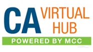CA Virtual Hub | Best CA Online Coaching in India for Foundation & Intermediate CA exams.